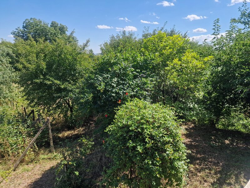 Casa in mediu rural cu teren